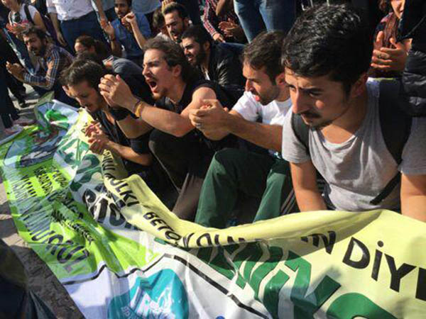 albatros parkı 6