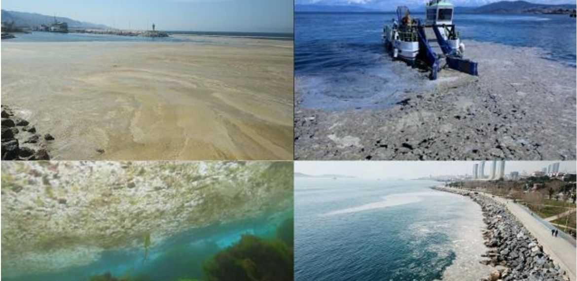 Çevre mühendisleri: “Deniz salyasının nedeni kirlilik ve sıcaklık”