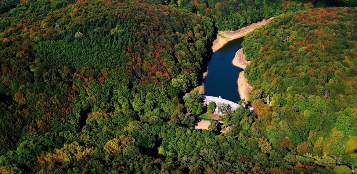 Belgrad Ormanı’nda milli park ilanı ne anlama geliyor?